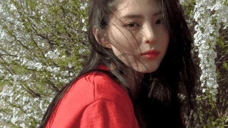 [유머] 인스타스타들이 많이 지향하는 분위기를  가진 4명 -  와이드섬