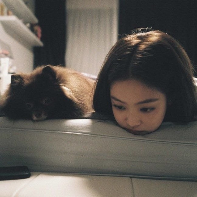 [유머] 인스타스타들이 많이 지향하는 분위기를  가진 4명 -  와이드섬