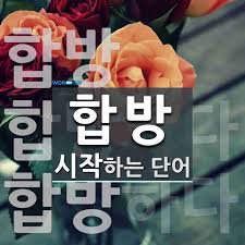 [유머] 댕이와 냥이를 합방하면. -  와이드섬