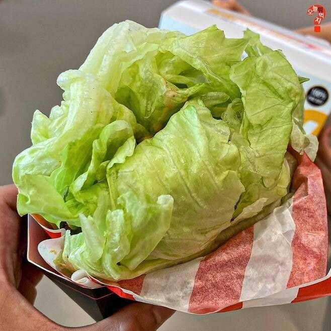 [유머] 다이어트 버거란 이런거다. -  와이드섬