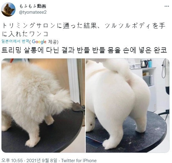 [유머] 빵댕이에 모든걸 쏟아내다. -  와이드섬