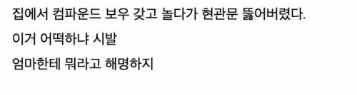 [유머] 집에서 컴파운드 보우로 놀다가..;; -  와이드섬