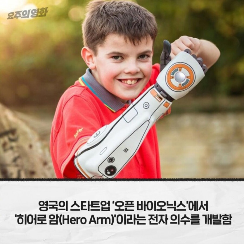 [유머] 디즈니가 무료로 저작권 허락한 곳. -  와이드섬