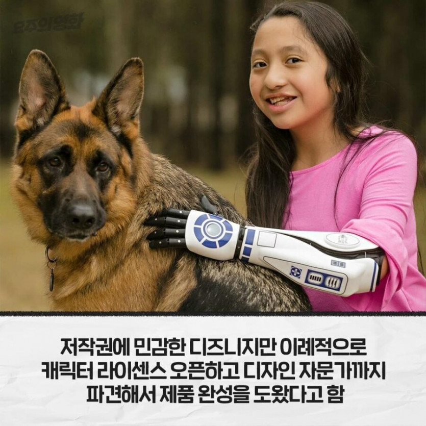 [유머] 디즈니가 무료로 저작권 허락한 곳. -  와이드섬
