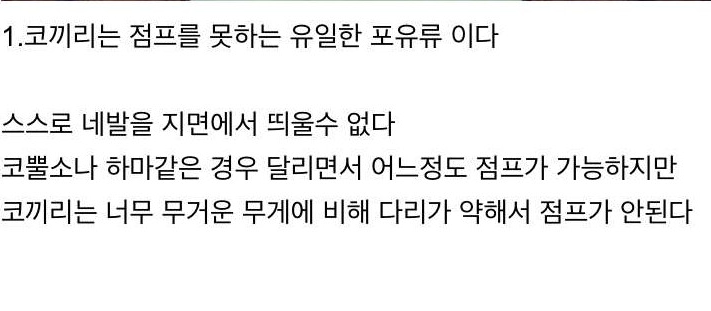 [유머] 동물에 대한 지식들. -  와이드섬
