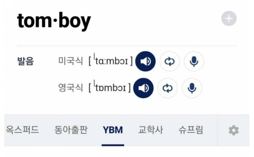 [유머] 톰보이의 뜻을 찾아 봤다. -  와이드섬
