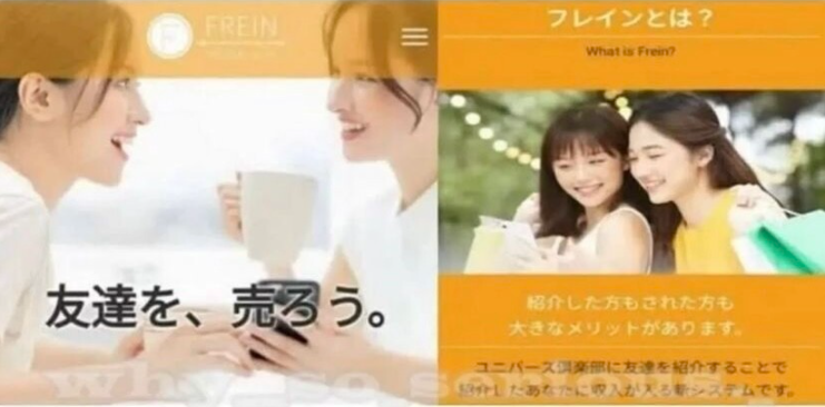 [유머] 일본에서 팔수있는 것!? -  와이드섬