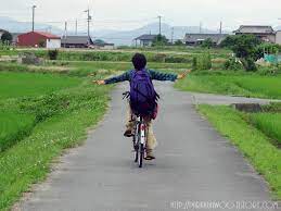 [유머] 일본에서 팔수있는 것!? -  와이드섬