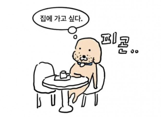 [유머] 내성적인 카페 이용객. -  와이드섬