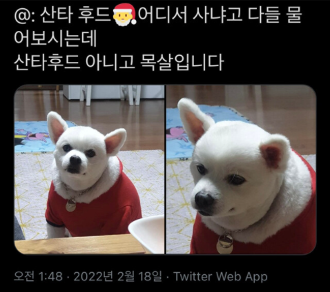 [유머] 산타 후드에 대한 진실. -  와이드섬