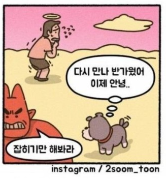 [유머] 널 버린X은 꼭 데려갈 거야. -  와이드섬