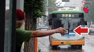 [유머] 천안에서 버스 탈 때하는 행동. -  와이드섬