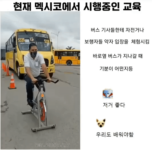 [유머] 운전자들의 안전교육. -  와이드섬