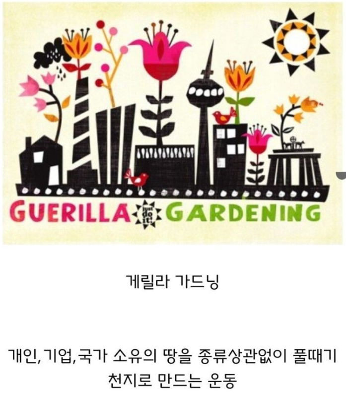 [유머] 미국에서 벌여지는 게릴라전. -  와이드섬