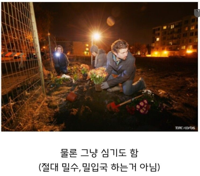 [유머] 미국에서 벌여지는 게릴라전. -  와이드섬